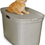 Litter box - Image 2