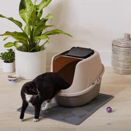 Mess-free enclosed litter box with lid