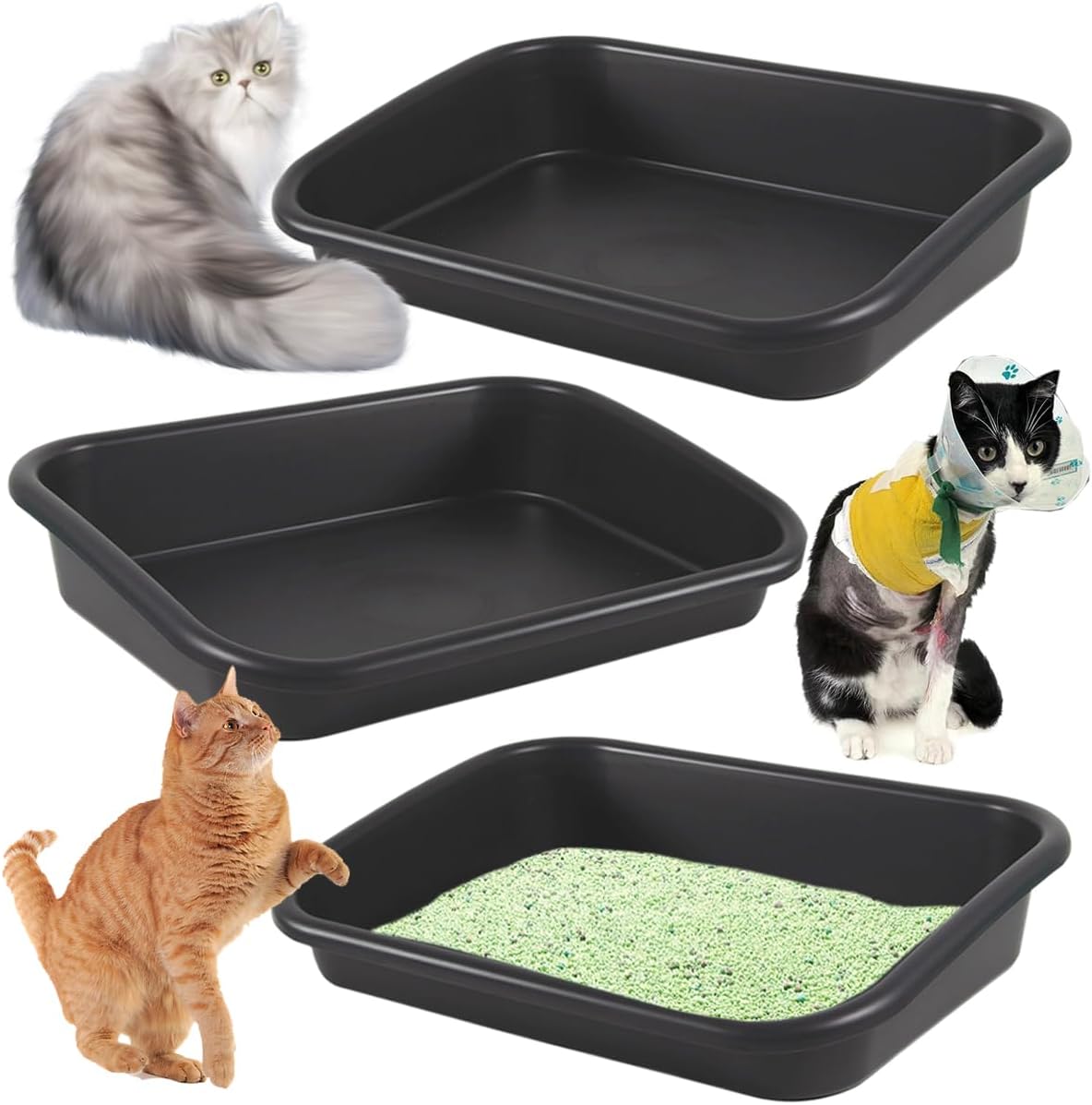 61ffhKvdeNL._AC_SL1200_.jpg 3-piece low-entry litter box set for senior cats - Image 1