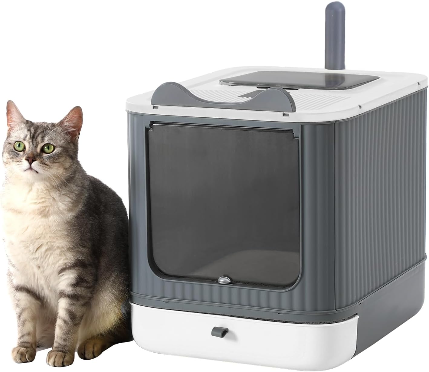 61sfIRXTfHL._AC_SL1500_.jpg Collapsible litter box - Image 1