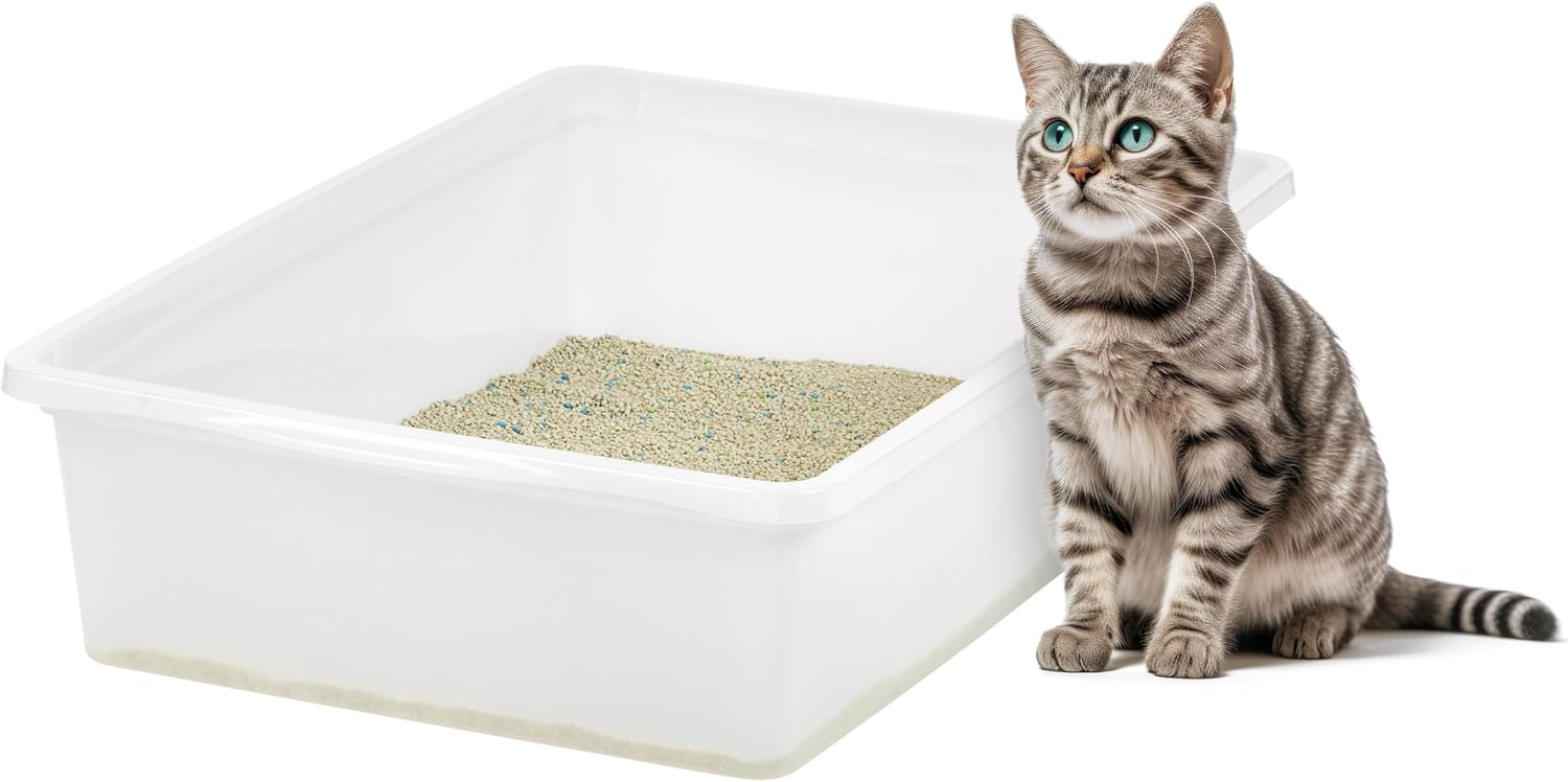 71ARiutArzL._AC_SL1500_.jpg Large open-top litter box - Image 1
