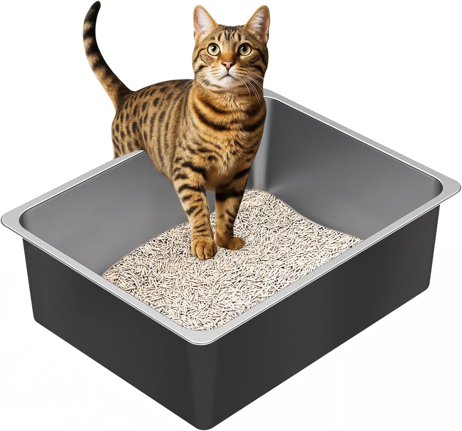 71cSWcYm9uL._AC_SL1500_.jpg Stainless steel litter box - Image 1