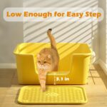 High-sided litter box for indoor cats - Image 2