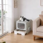 Litter box with a lid