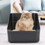 Open-Top Litter Box
