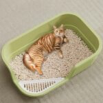 Extra-large high-sided litter box - Image 3
